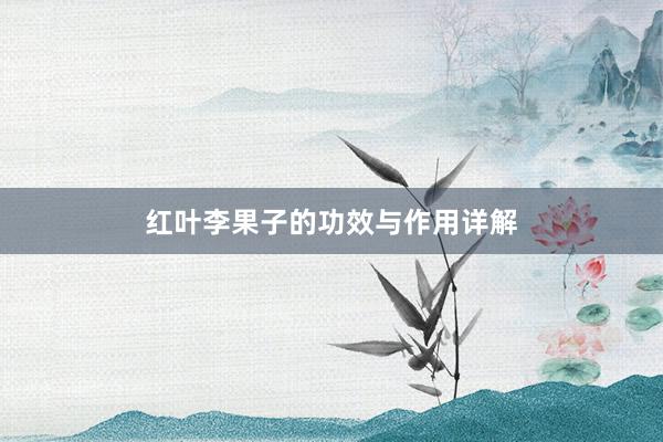 红叶李果子的功效与作用详解